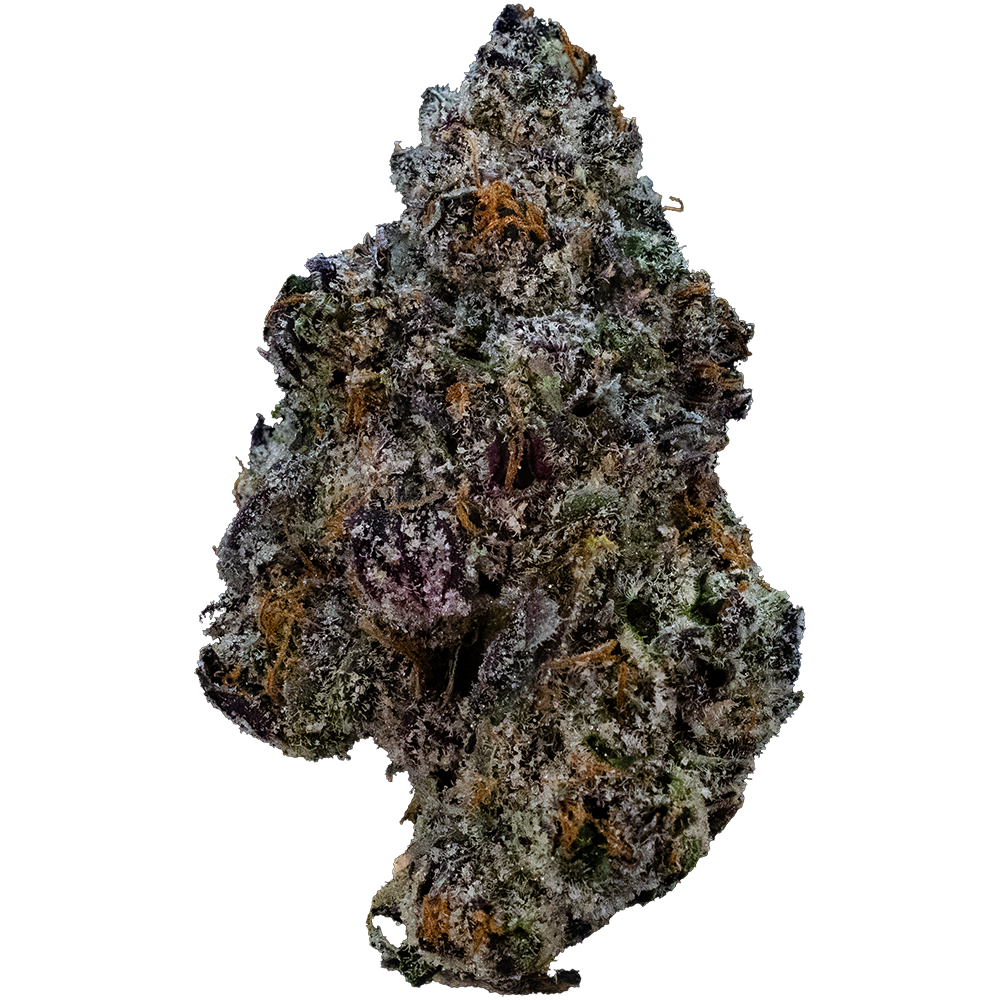 web-okieoilkush